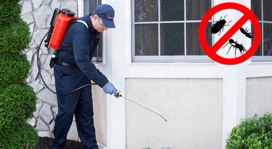 Kızılcahamam Kene İlaçlama böcek ilaçlama ve haşere kontrolü — ilaclama-tr.com